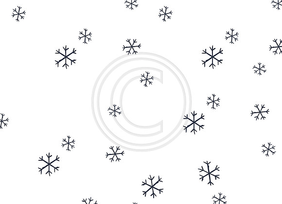 JoyfulSnowBack