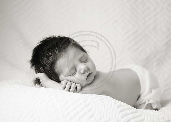 CY1F3694_1bw