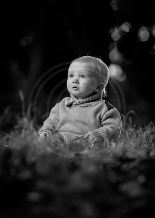 CY1F6184bw