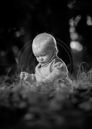 CY1F6175bw